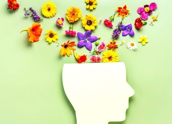 Câmara Setorial Temática avalia índice de condição e qualidade de Vida em Mato Grosso