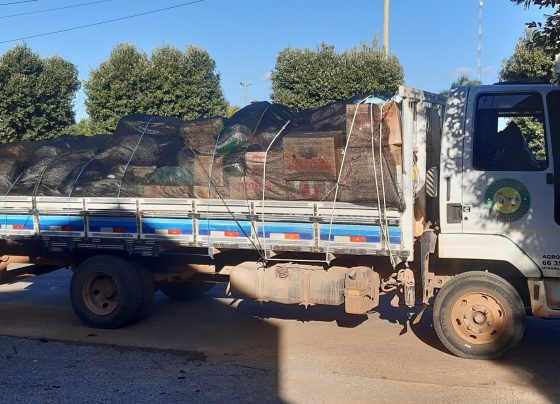 mobilizacao solidariedade rs 2