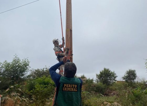 Com a fraude, mais de R$ 100 mil deixaram de ser pagos em impostos ao Estado