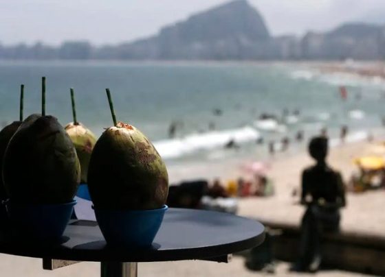 Faturamento de operadoras com turismo dentro do Brasil cresce 122% em 2023 - Tânia Rêgo/Agência Brasil