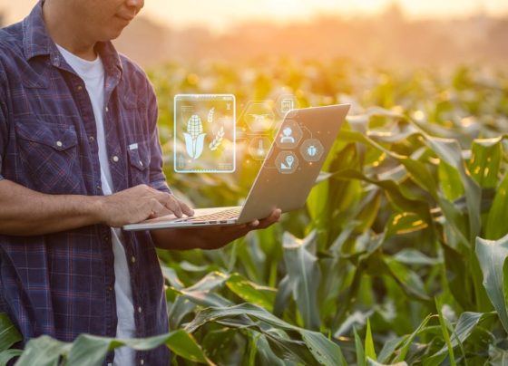 Inteligencia artificial agroindustria