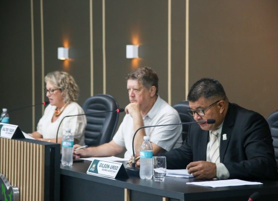 fotos bancoimagens 1554