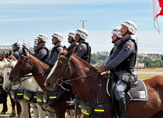 fotos bancoimagens 1585