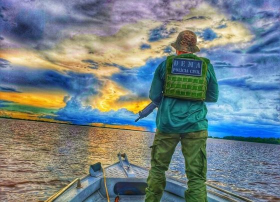 Polícia Civil intensifica repressão a crimes ambientais com 30 operações em cinco meses_6661ebe31820b.jpeg