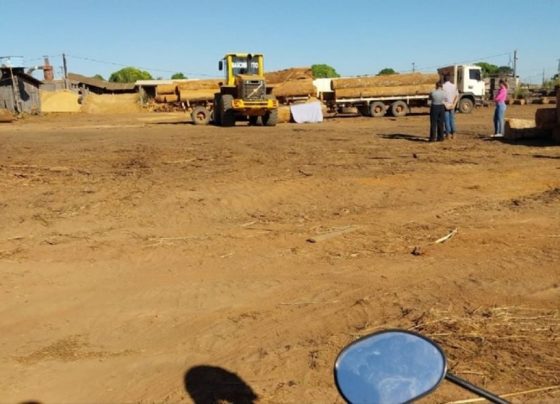 Trabalhador morre esmagado por tora de madeira em Mato Grosso