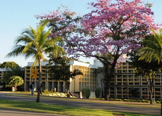 Hospital Veterinário e zoológico da UFMT recebem R$ 5 milhões em investimentos. (Foto: Divulgação)