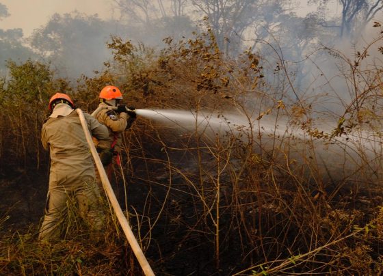 Veranico fora de época agrava risco de queimadas em Mato Grosso e outras regiões do Brasil