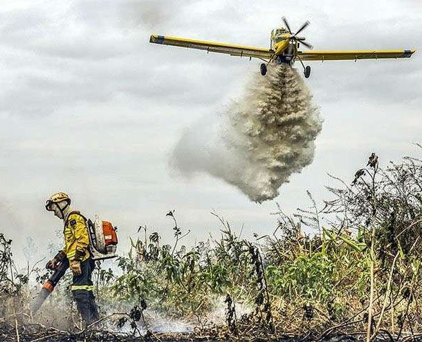 Bombeiros combatem 42 incêndios florestais neste domingo em Mato Grosso