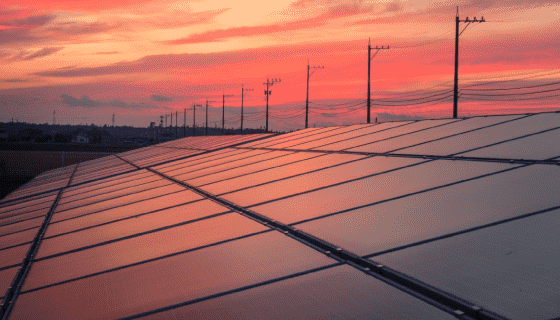 Foto por: Divulgação