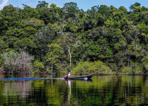 Cerco fecha contra o desmatamento em Mato Grosso e Ministério Público Federal ajuíza ações bilionárias
