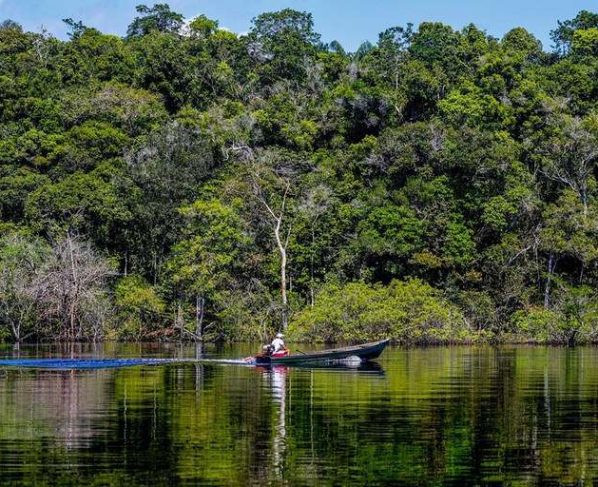 Cerco fecha contra o desmatamento em Mato Grosso e Ministério Público Federal ajuíza ações bilionárias