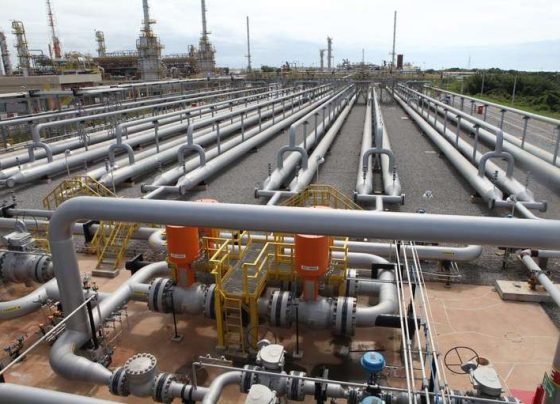 Petrobras e empresa nacional fecham acordo para escoar gás natural da Bacia de Campos - Petrobras/divulgação