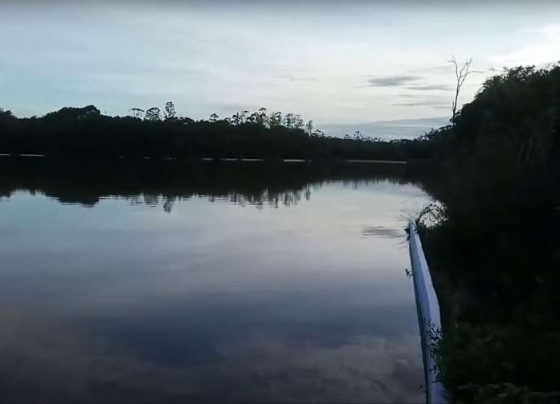 TAC prevê multa de R$ 50 mil a empresário que construiu em área de proteção ambiental em Mato Grosso