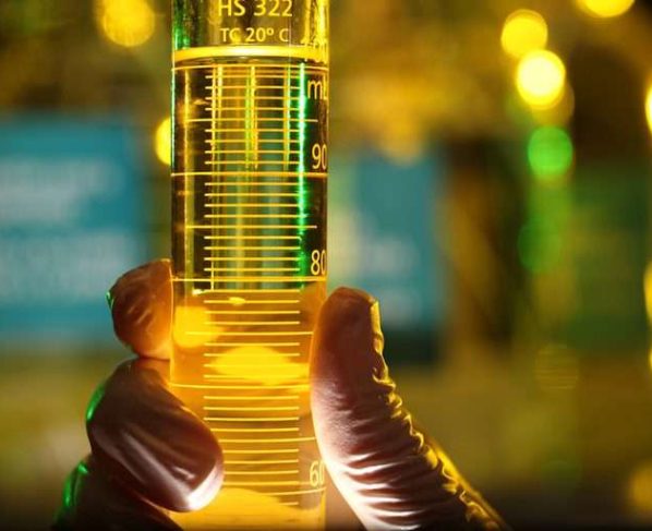 Petrobras reduz preço do diesel para distribuidoras; queda chega a 31,7% em 2,4 anos - Petrobras/divulgação