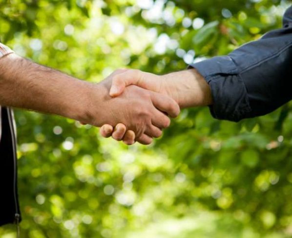 Proprietario rural indenizara em R 686 mil por desmatamento em Tangara da Serra
