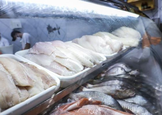 IFMT e Prefeitura de Sorriso abrem inscricoes de curso para mulheres no beneficiamento de pescado