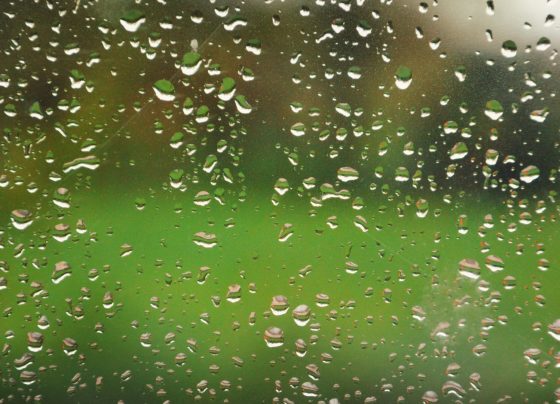 Clima