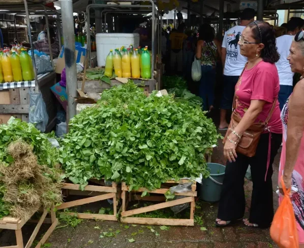 Mercado fortalece economia local com criação do programa Mercado do Povo
