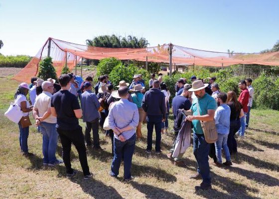 Produtores de Sorriso participam de missao tecnica em Brasilia para fortalecer a agricultura familiar