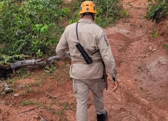Foto de bombeiro em área de mata