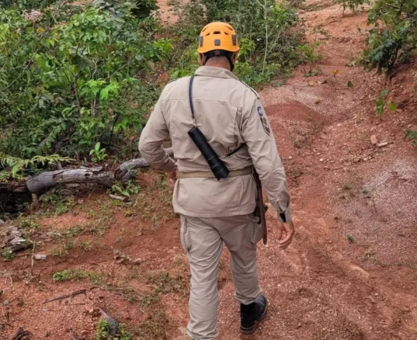 Foto de bombeiro em área de mata