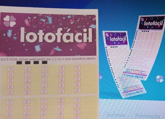 Canhoto da Lotofácil em que o apostador pode investir seu palpite