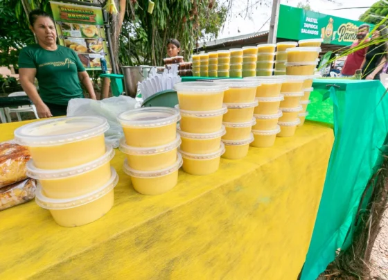 Festival da Pamonha (1)