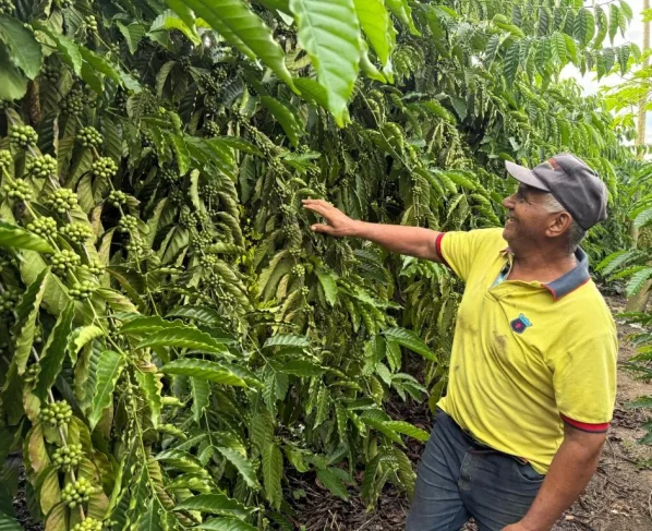 Café garante renda e recomeço para família de Castanheira com apoio do MT