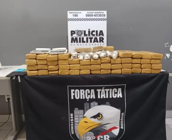 47 tabletes de maconha em pilha feita pela força tática da PM