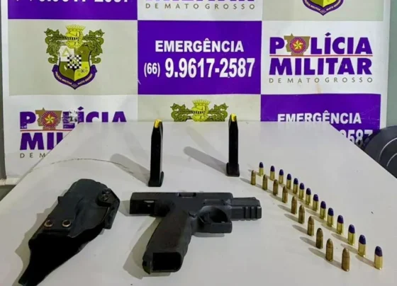 Arma e munições apreendidas em Guiratinga