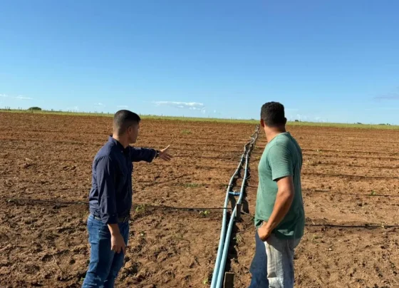 Assistência técnica da Empaer impulsiona agricultura familiar em Bom Jesus do Araguaia
