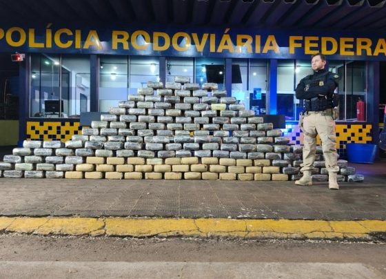 Carregamento de skunk foi encontrado com ajuda de cão farejador da polícia em fundo falso de caminhão. - Foto: Wanderson Dantas