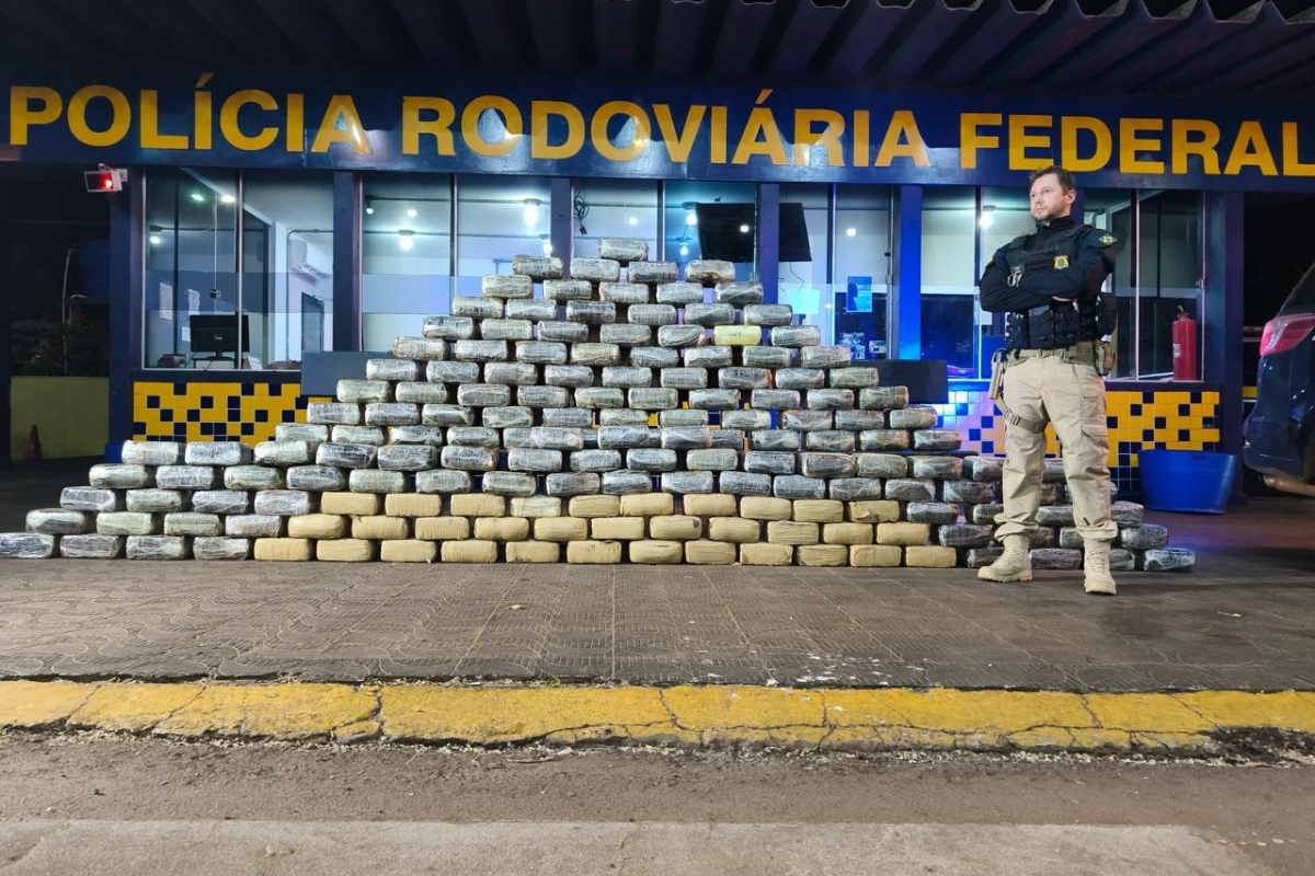 Carregamento de skunk foi encontrado com ajuda de cão farejador da polícia em fundo falso de caminhão. - Foto: Wanderson Dantas