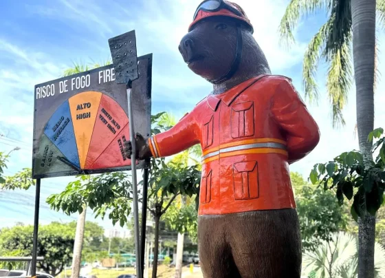 Capivara bombeira vira monumento de alerta contra incêndios em MT