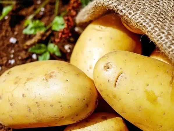 Batata dispara