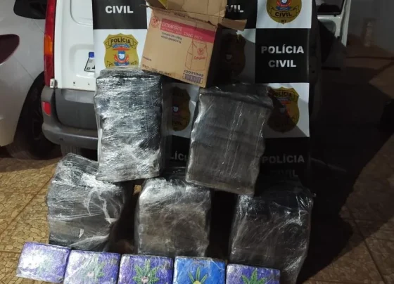Polícia Civil apreende 178 tabletes de maconha em Rondonópolis