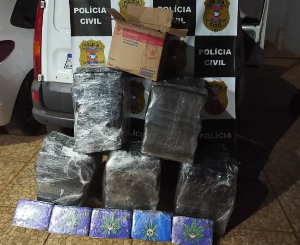 Polícia Civil apreende 178 tabletes de maconha em Rondonópolis