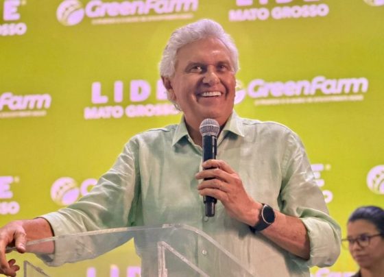 politica de primeira