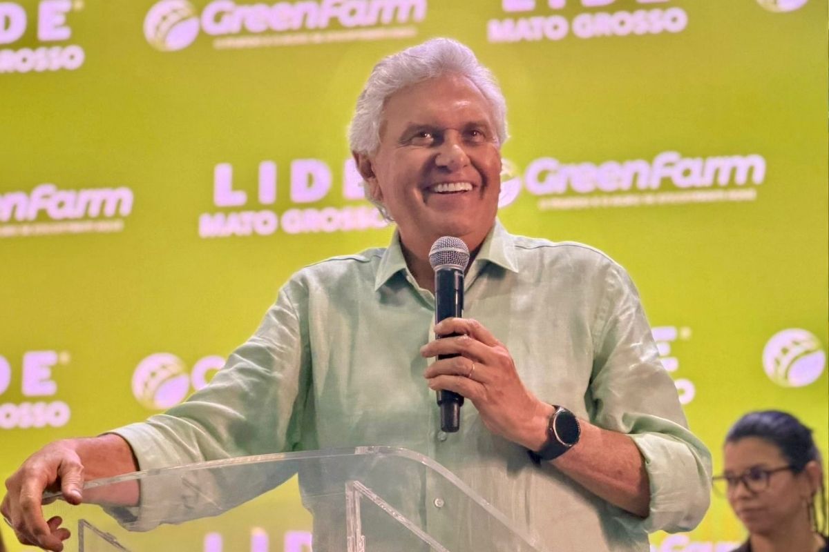 politica de primeira