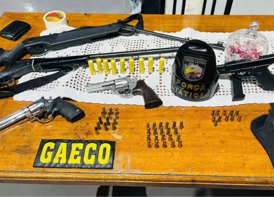 Armas e munições apreendidas pela GAECO