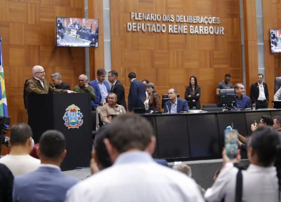politica de primeira