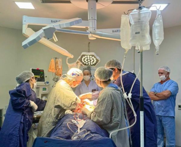 Central de transplantes fazendo simulação