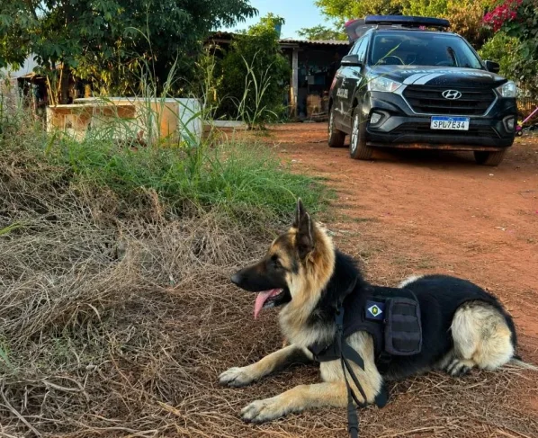 Tabaporã