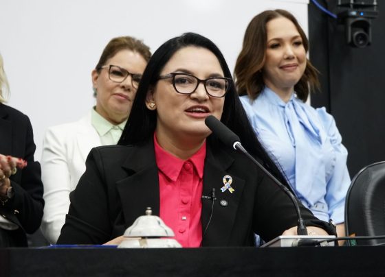 politica de primeira