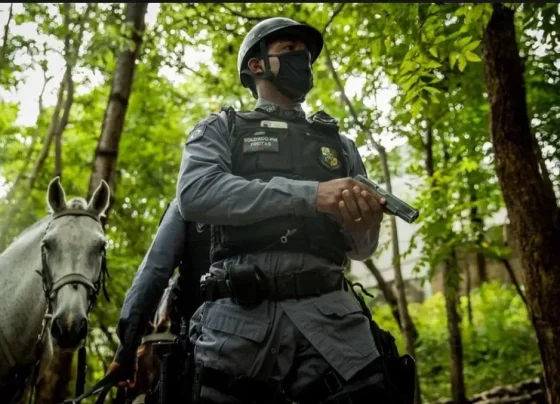 Foto de oficial da cavalaria da PM em Nova Mutum procurando suspeito