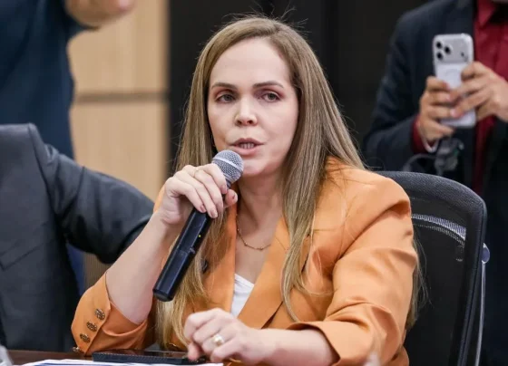 Mato Grosso amplia investimentos e fortalece ambiente de negócios, diz secretária