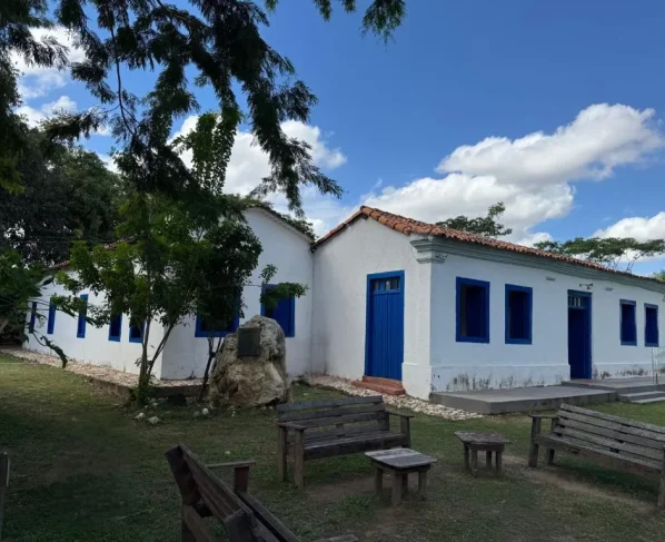 Museu de História Natural de MT ganha feira permanente aos domingos
