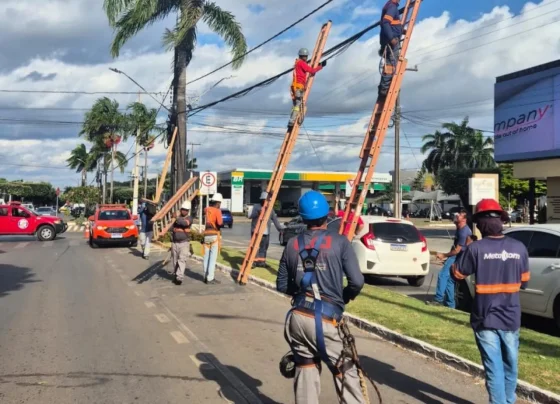 Operação Cacicus (3)