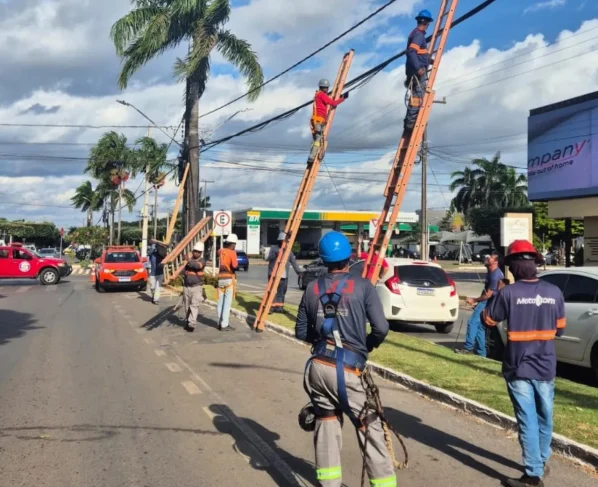 Operação Cacicus (3)