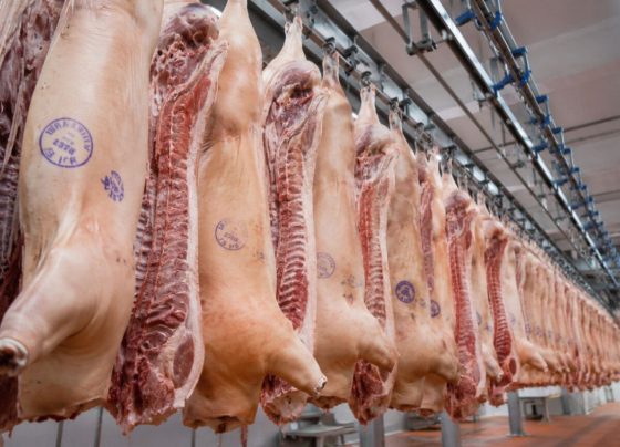carimbo da carne